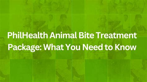 philhealth accredited animal bite center 2024|PhilHealth Animal Bite Treatment Package: What You Need to Know.